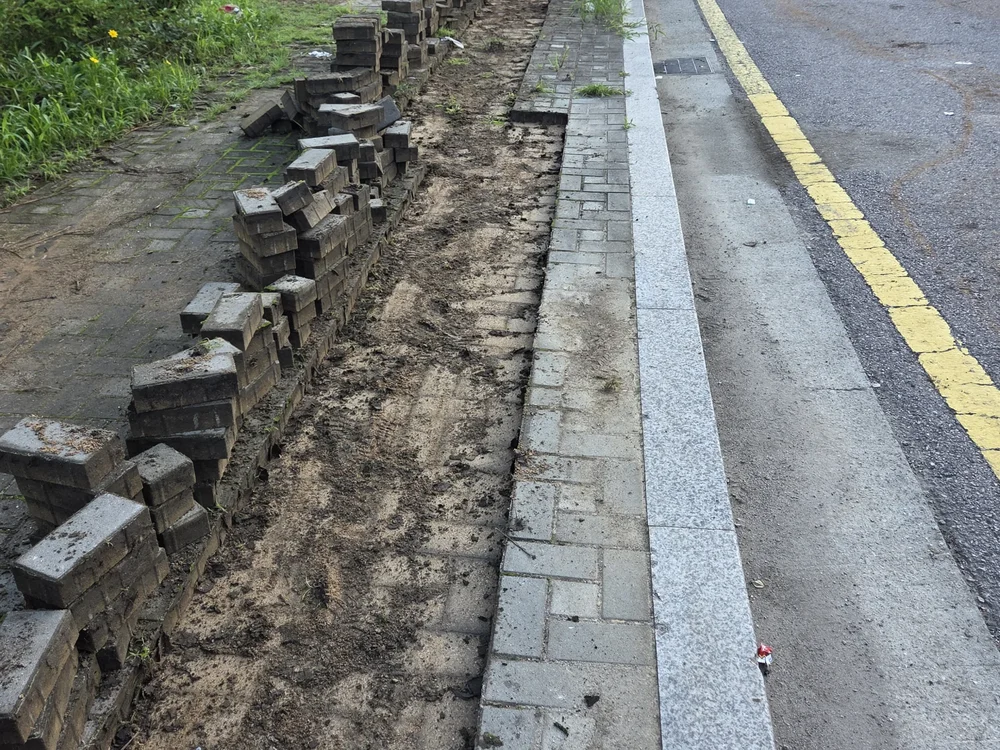 서로 다른 규격의 블럭이 섞여 있던 낡은 시멘트블럭 바닥